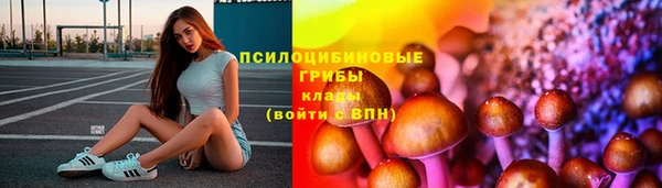 СК Алексеевка