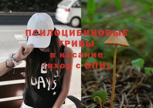 СК Алексеевка
