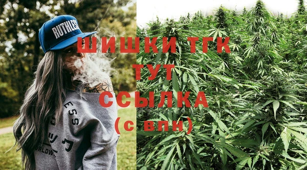 прущие крисы Алзамай