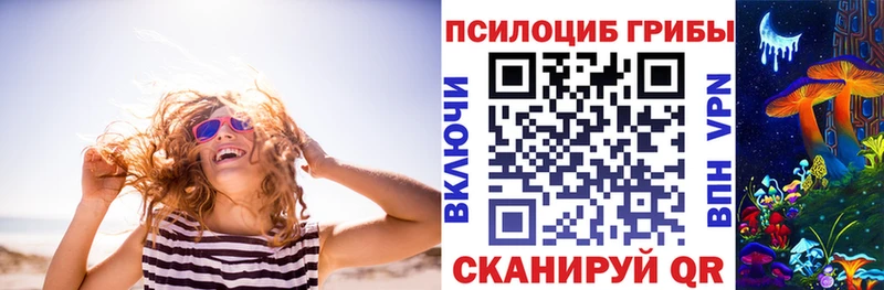 Галлюциногенные грибы Psilocybine cubensis  Бирск 
