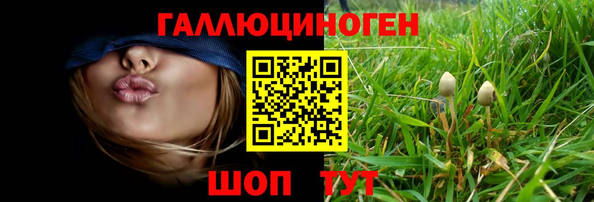 Галлюциногенные грибы прущие грибы  Псилоцибиновые грибы Cubensis  Бирск  Вход с VPN 